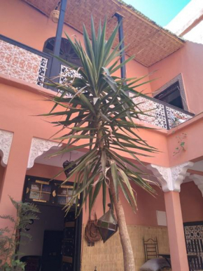 Riad Dyafa, Marrakesch